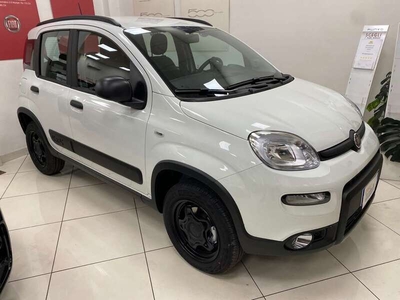 Usato 2023 Fiat Panda 4x4 0.9 Benzin 86 CV (18.490 €)