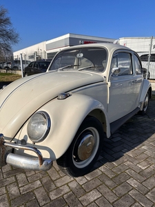 Volkswagen Maggiolino 6v