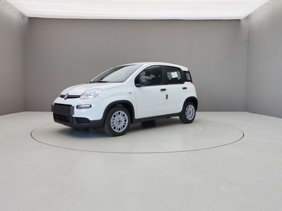 Fiat Panda 51 kW