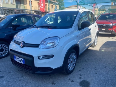 Fiat Panda 1.0