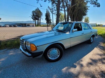 Usato 1983 Mercedes 200 2.0 Benzin 109 CV (16.500 €)
