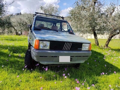 Usato 1984 Fiat Panda 4x4 1.0 Benzin 48 CV (9.000 €)