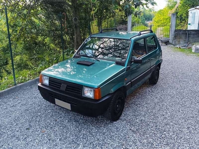 Usato 2002 Fiat Panda 1.1 Benzin 54 CV (2.100 €)