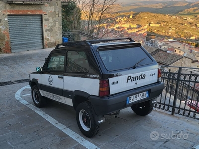 Usato 2002 Fiat Panda 4x4 1.1 Benzin 54 CV (13.500 €)