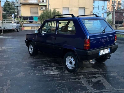 Usato 2002 Fiat Panda 4x4 1.1 Benzin 54 CV (3.900 €)