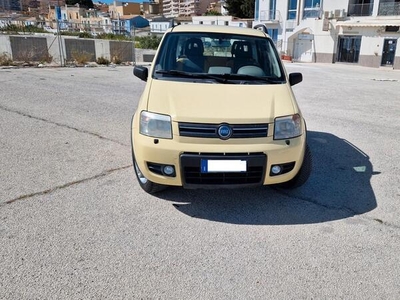 Usato 2005 Fiat Panda 4x4 1.2 Benzin 60 CV (5.900 €)