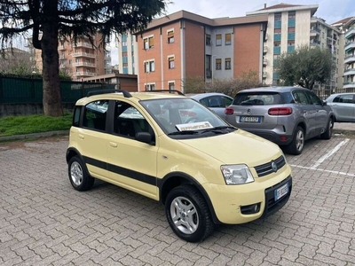 Usato 2006 Fiat Panda Cross 1.2 Diesel 69 CV (4.900 €)