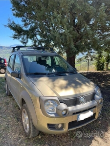 Usato 2007 Fiat Panda Cross Diesel (6.500 €)