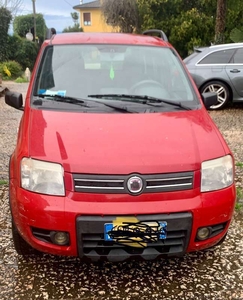 Usato 2008 Fiat Panda 4x4 1.2 Diesel 69 CV (5.000 €)