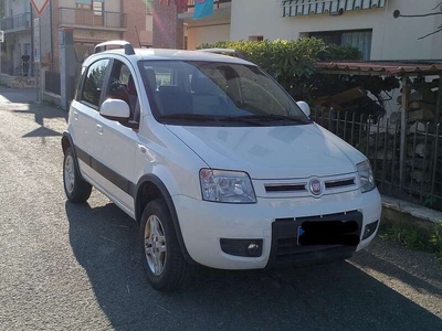 Usato 2010 Fiat Panda 4x4 1.2 Diesel 75 CV (7.500 €)