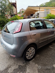 Usato 2013 Fiat Punto 1.4 LPG_Hybrid 95 CV (5.200 €)