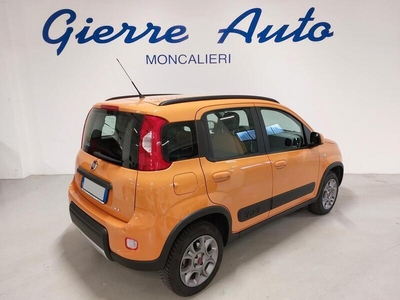 Usato 2014 Fiat Panda 4x4 1.2 Diesel 75 CV (11.200 €)