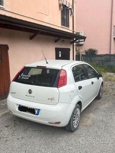 Usato 2014 Fiat Punto 1.2 Benzin 80 CV (5.000 €)