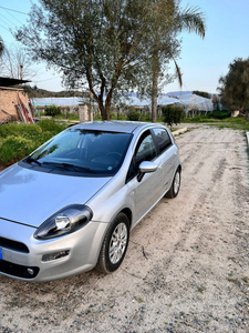 Usato 2014 Fiat Punto 1.2 Diesel 75 CV (5.500 €)