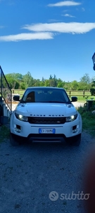 Usato 2014 Land Rover Range Rover evoque 2.0 Benzin 241 CV (20.500 €)