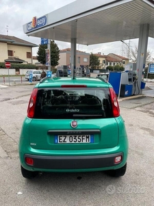 Usato 2015 Fiat Panda 0.9 CNG_Hybrid 85 CV (5.500 €)