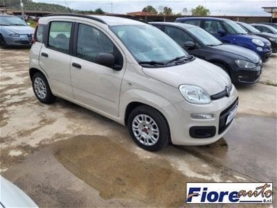 Usato 2015 Fiat Panda 1.2 Diesel 75 CV (8.990 €)
