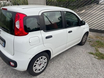 Usato 2016 Fiat Panda 1.2 Diesel 69 CV (6.100 €)