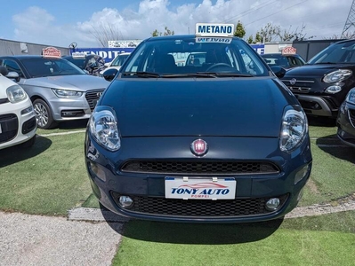 Usato 2016 Fiat Punto 1.4 CNG_Hybrid 77 CV (7.400 €)
