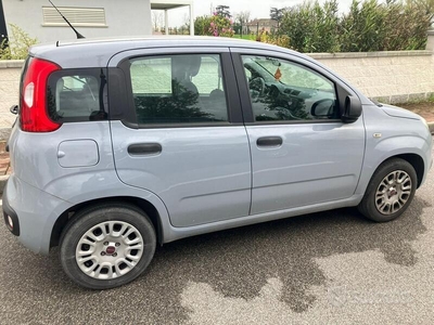 Usato 2017 Fiat Panda 1.2 Benzin 69 CV (8.000 €)