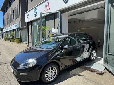 Usato 2017 Fiat Punto Evo 1.2 Diesel 95 CV (7.500 €)