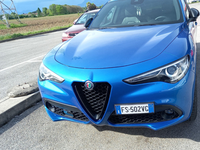 Usato 2018 Alfa Romeo Stelvio Diesel 210 CV (21.000 €)