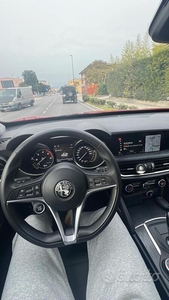 Usato 2019 Alfa Romeo Stelvio 2.1 Diesel 190 CV (25.500 €)