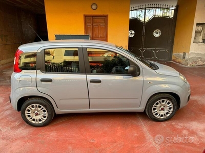 Usato 2019 Fiat Panda 1.2 Benzin 69 CV (8.900 €)