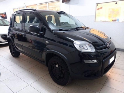Usato 2019 Fiat Panda 4x4 0.9 Benzin 85 CV (16.450 €)