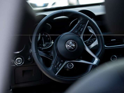 Usato 2020 Alfa Romeo Stelvio 2.0 Benzin 201 CV (31.900 €)
