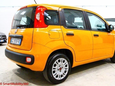 Usato 2020 Fiat Panda 1.2 Benzin 69 CV (10.600 €)