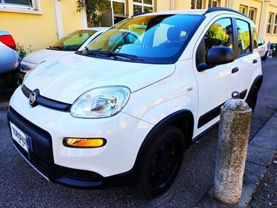 Usato 2020 Fiat Panda 4x4 0.9 Benzin 85 CV (16.900 €)