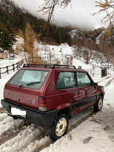 Venduto Fiat Panda 4x4 1000 4x4 Sisley - auto usate in vendita