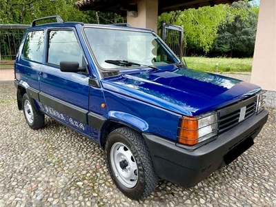 Venduto Fiat Panda 4x4 1.1 Trekking *. - auto usate in vendita