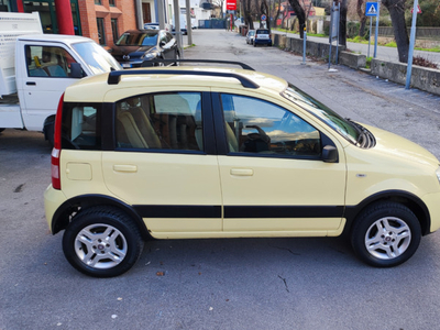 Venduto Fiat Panda 4x4 Climbing Neopa. - auto usate in vendita