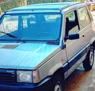 Venduto Fiat Panda 4x4 Panda 1.0 Trek. - auto usate in vendita