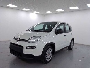 Fiat Panda 1.0 firefly hybrid s&s 70cv 5p.ti da Azzurra .