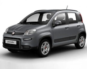 FIAT Panda 1.0 FireFly S&S Hybrid City Life Elettrica/Benzina