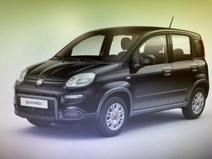 FIAT Panda 1.0 FireFly S&S Hybrid Elettrica/Benzina