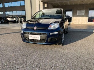 FIAT Panda 1.0 FireFly S&S Hybrid Elettrica/Benzina