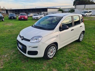 FIAT Panda 1.0 FireFly S&S Hybrid Elettrica/Benzina