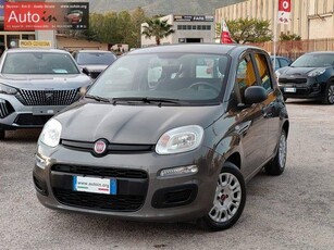 FIAT Panda 1.0 HYBRID Easy 70CV S&S Elettrica/Benzina