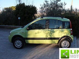 FIAT Panda 1.2 4x4 Benzina