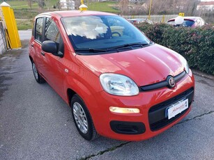 FIAT Panda 1.2 Easy 69 cv Benzina