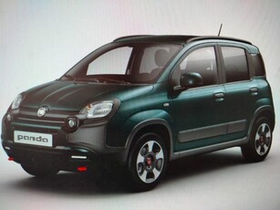 FIAT Panda Cross 1.0 FireFly S&S Hybrid MY24 Elettrica/Benzina