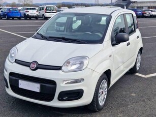 FIAT Panda OK NEO PAT. 1.2 Easy Benzina