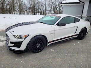 FORD Mustang 5.0 GT Performance 442 Cv 2017 Benzina