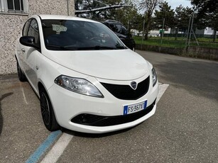 LANCIA Ypsilon 1.2 69 CV 5 porte GPL Ecochic Elefantino Blu Benzina/GPL