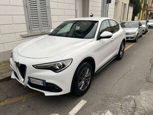 Usato 2020 Alfa Romeo Stelvio 2.1 Diesel 160 CV (30.000 €)