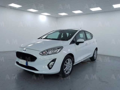 Ford Fiesta 1.1 75 CV GPL 5 porte Plus del 2019 usata a Cuneo